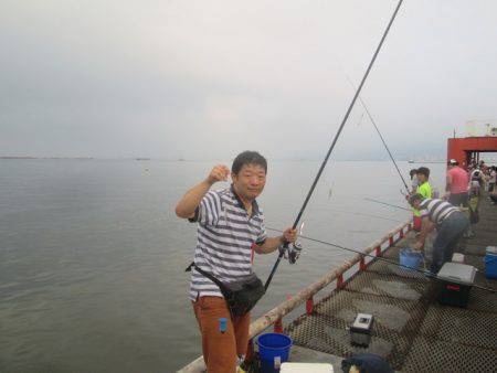 尼崎市立魚つり公園 釣果