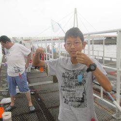 尼崎市立魚つり公園 釣果