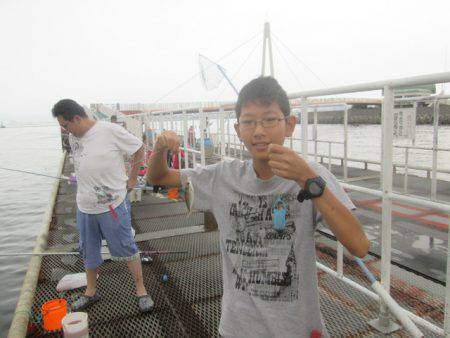 尼崎市立魚つり公園 釣果