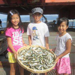 尼崎市立魚つり公園 釣果