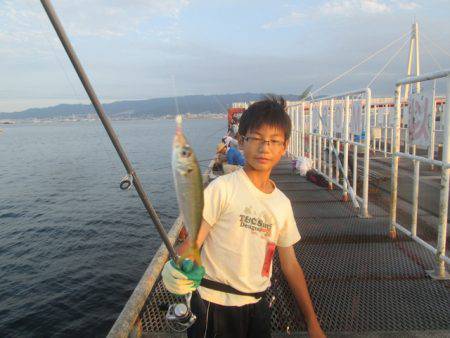 尼崎市立魚つり公園 釣果