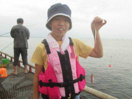 尼崎市立魚つり公園 釣果