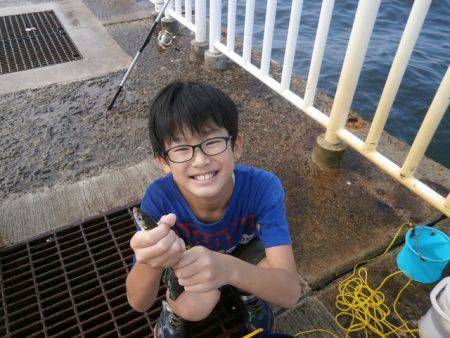 大阪南港海つり公園 釣果