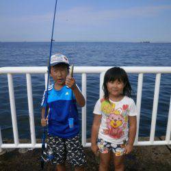 大阪南港海つり公園 釣果