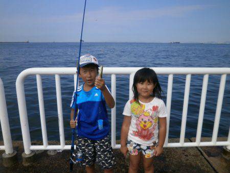 大阪南港海つり公園 釣果