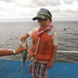 オリジナルメーカー海づり公園(市原市海づり施設) 釣果