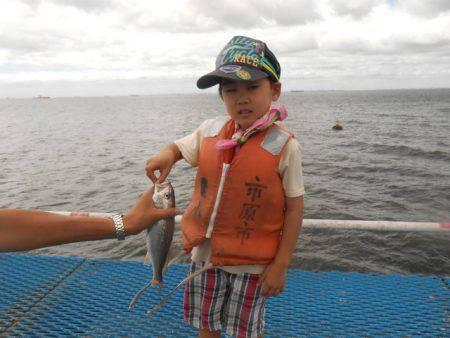 オリジナルメーカー海づり公園(市原市海づり…