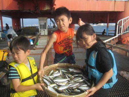 尼崎市立魚つり公園 釣果