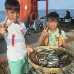 尼崎市立魚つり公園 釣果
