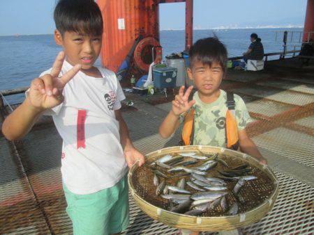 尼崎市立魚つり公園 釣果