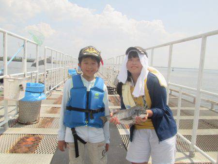 尼崎市立魚つり公園 釣果