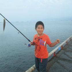 尼崎市立魚つり公園 釣果