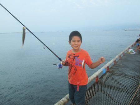 尼崎市立魚つり公園 釣果