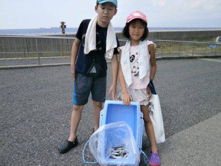 大阪南港海つり公園 釣果