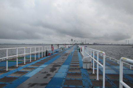 オリジナルメーカー海づり公園(市原市海づり施設) 釣果