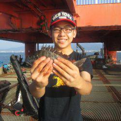 尼崎市立魚つり公園 釣果