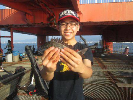 尼崎市立魚つり公園 釣果