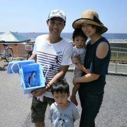 大阪南港海つり公園 釣果