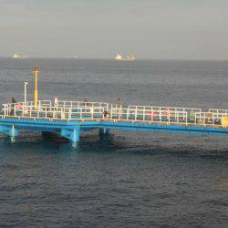 オリジナルメーカー海づり公園(市原市海づり施設) 釣果