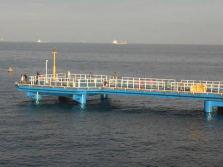 オリジナルメーカー海づり公園(市原市海づり施設) 釣果