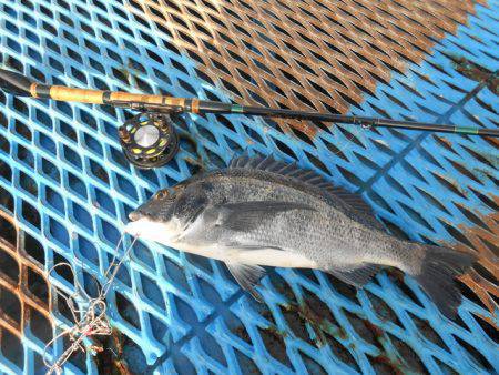 オリジナルメーカー海づり公園(市原市海づり…