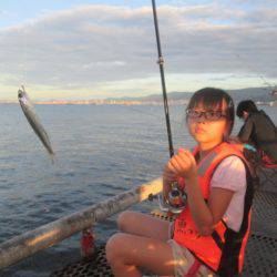 尼崎市立魚つり公園 釣果