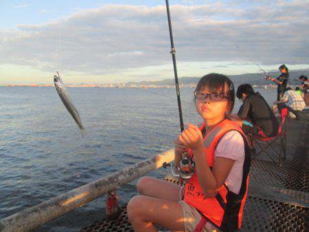 尼崎市立魚つり公園 釣果