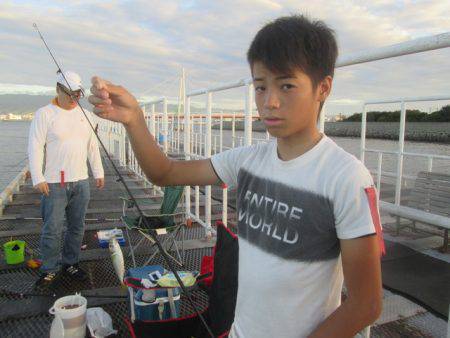 尼崎市立魚つり公園 釣果