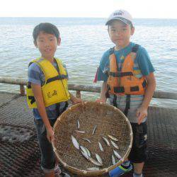 尼崎市立魚つり公園 釣果