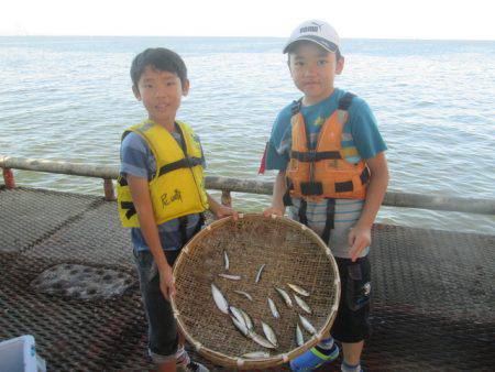 尼崎市立魚つり公園 釣果