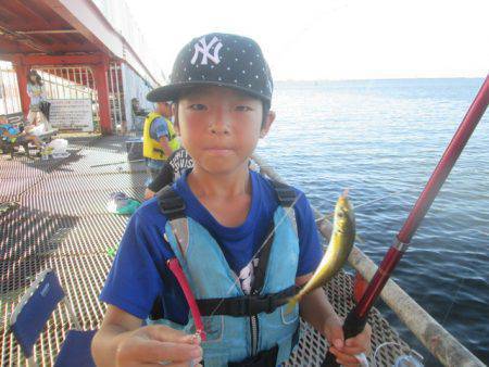 尼崎市立魚つり公園 釣果