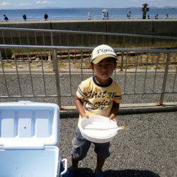 大阪南港海つり公園 釣果