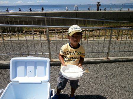 大阪南港海つり公園 釣果