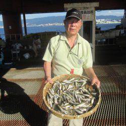 尼崎市立魚つり公園 釣果