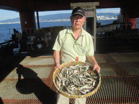 尼崎市立魚つり公園 釣果