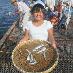 尼崎市立魚つり公園 釣果