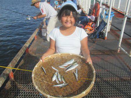 尼崎市立魚つり公園 釣果