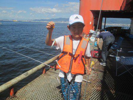 尼崎市立魚つり公園 釣果