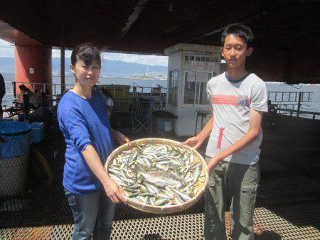 尼崎市立魚つり公園 釣果