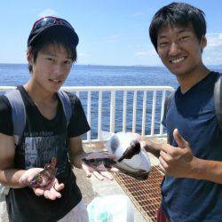 大阪南港海つり公園 釣果