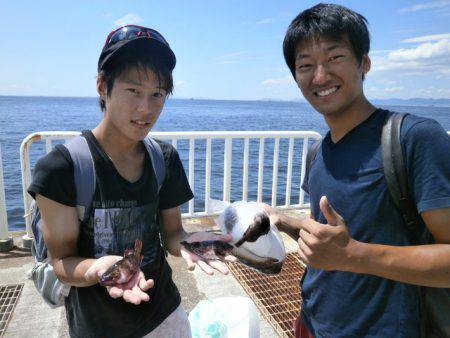 大阪南港海つり公園 釣果