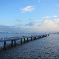 オリジナルメーカー海づり公園(市原市海づり施設) 釣果