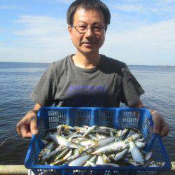 尼崎市立魚つり公園 釣果