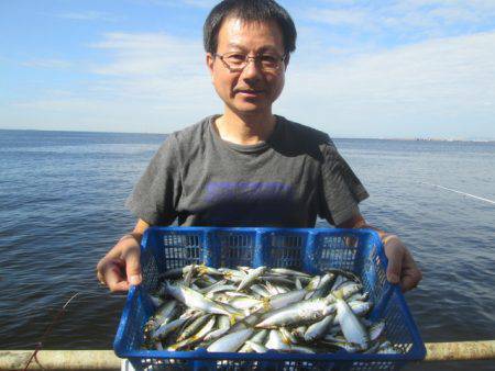 尼崎市立魚つり公園 釣果