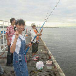 尼崎市立魚つり公園 釣果