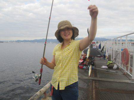 尼崎市立魚つり公園 釣果