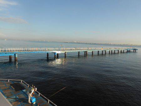 オリジナルメーカー海づり公園(市原市海づり施設) 釣果