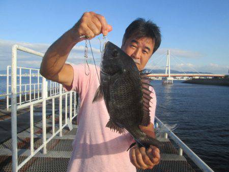 尼崎市立魚つり公園 釣果