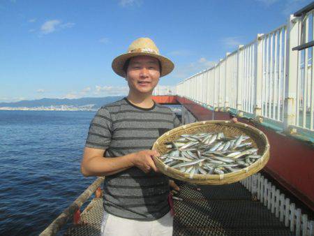 尼崎市立魚つり公園 釣果