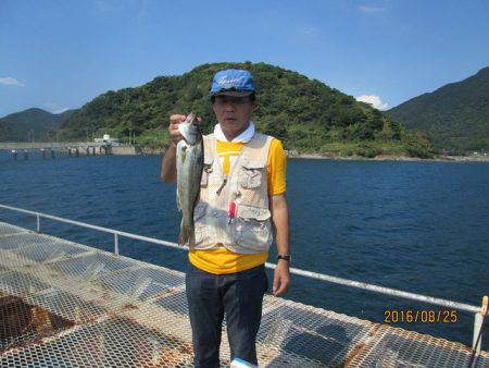 下関フィッシングパーク 釣果